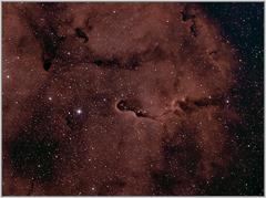 IC1396