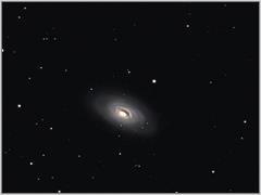 M64