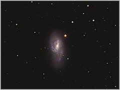 M66