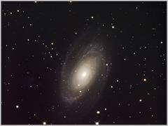 M81