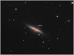 M82