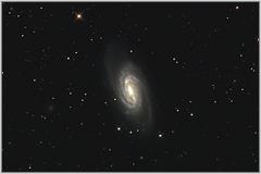 NGC2903