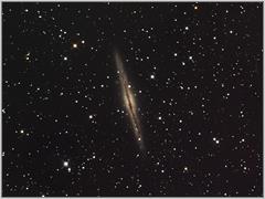 NGC891